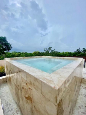 Luxury Private penthouse with private pool